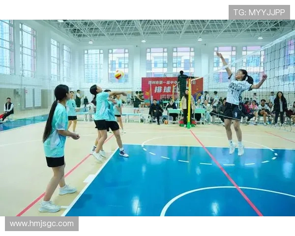 重庆排球队战术解析与发展探讨聚焦排球竞技新风尚